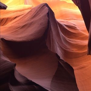 Meet your Posher, Robin